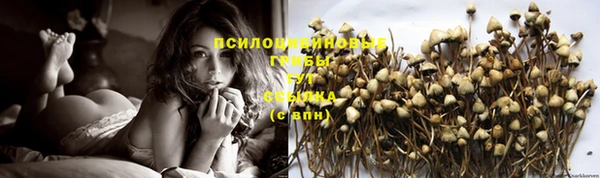 трава Алексеевка