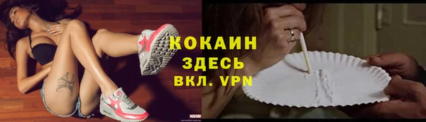 дурь Алексин