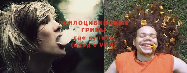 дурь Алексин